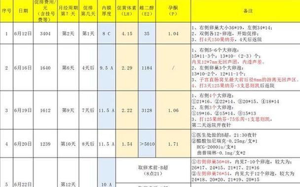 2024年试管代怀费用_2024年试管代怀费用大揭秘